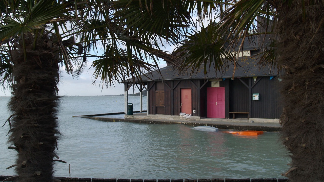 Photo of Others in Cancale