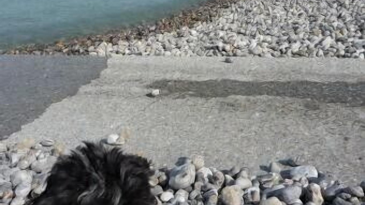 Photo of Others in Ault