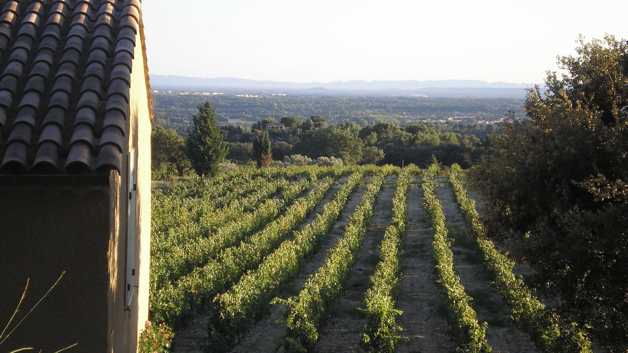 Photo of Outdoor in Beaumes-de-Venise