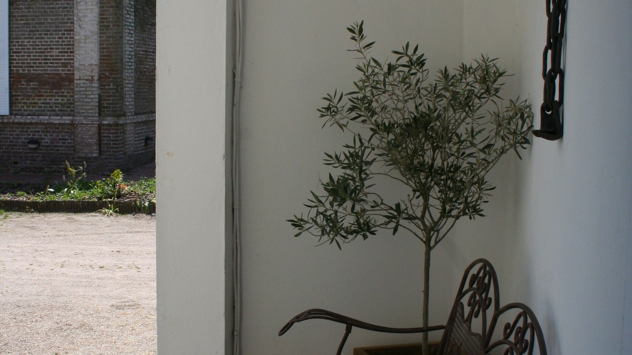 Photo of Patio Balcony in Maison-Ponthieu