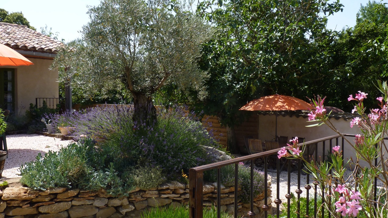 Photo of Outdoor in Saint-Papoul