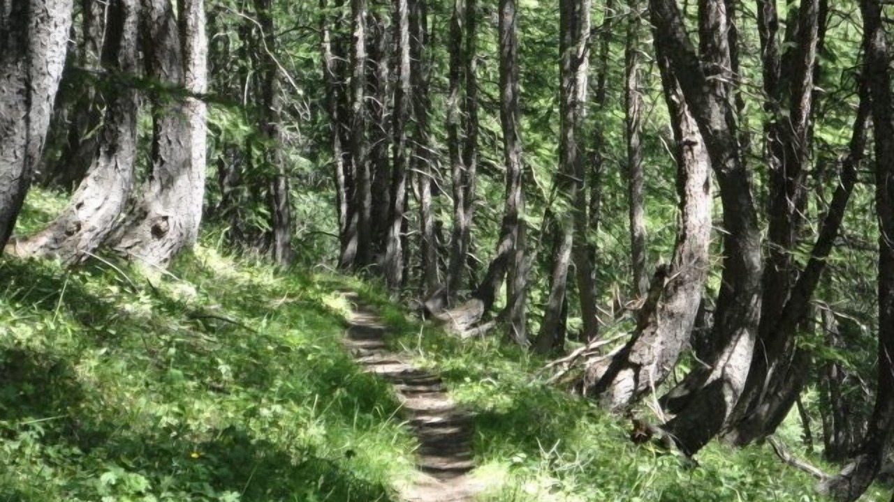Photo of Outdoor in Allos