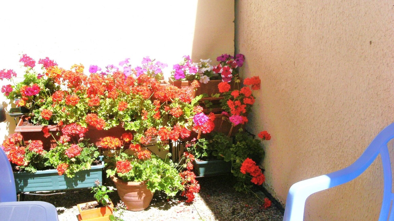 Photo of Outdoor in La Chaume