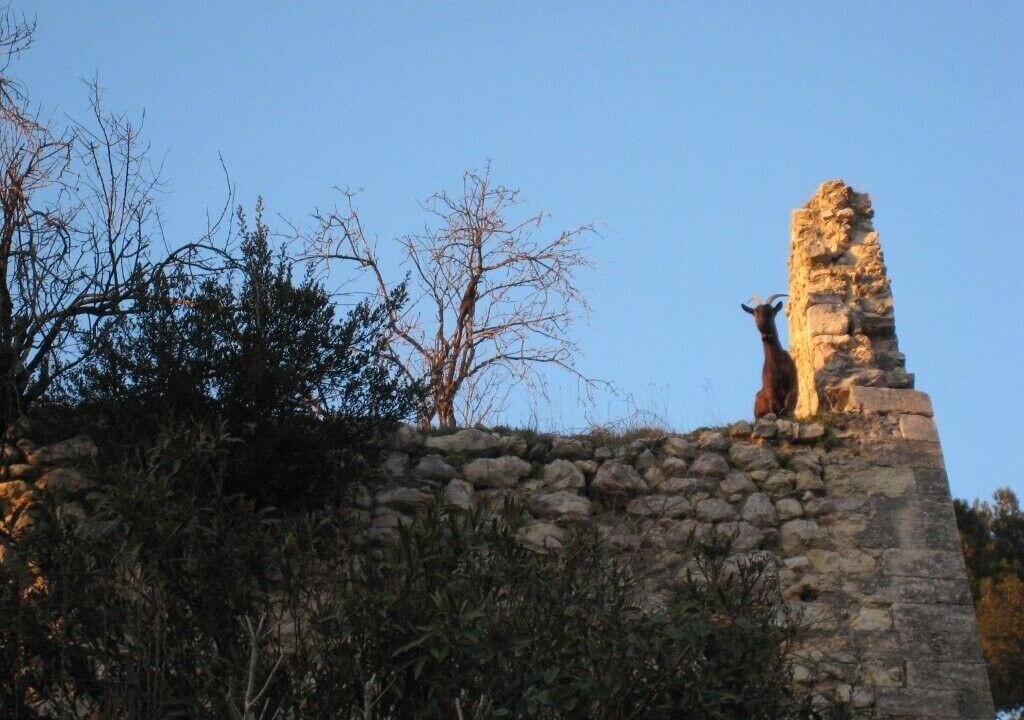 Photo of Outdoor in Boulbon