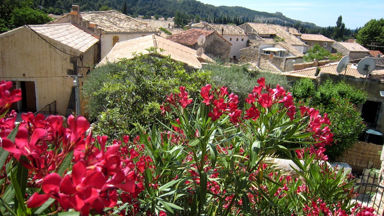 Photo of Outdoor in Boulbon