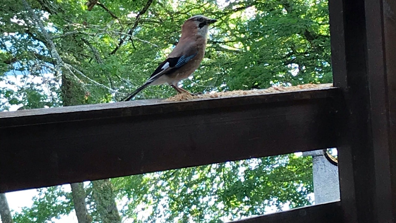 Photo of Others in Montsauche-les-Settons