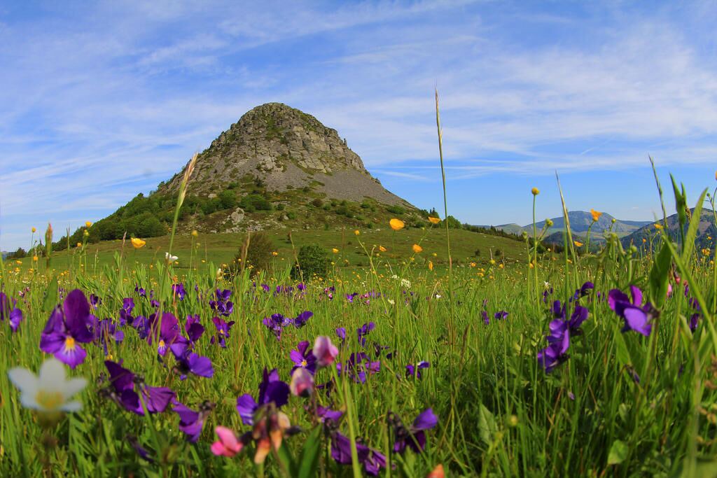 Photo of Outdoor in Orgnac-l'Aven