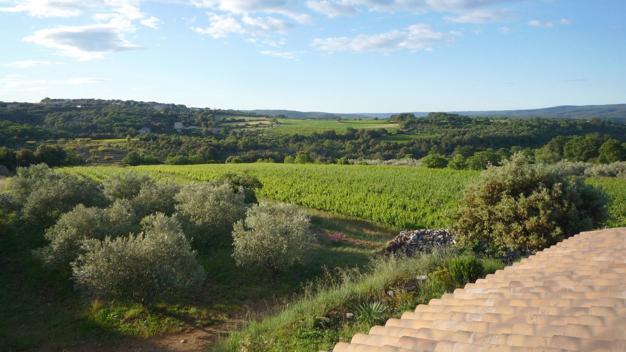 Photo of Outdoor in Orgnac-l'Aven