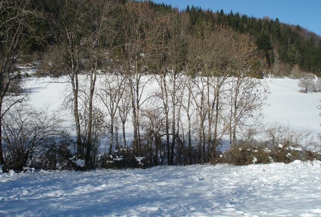 Photo of Others in Lacoux