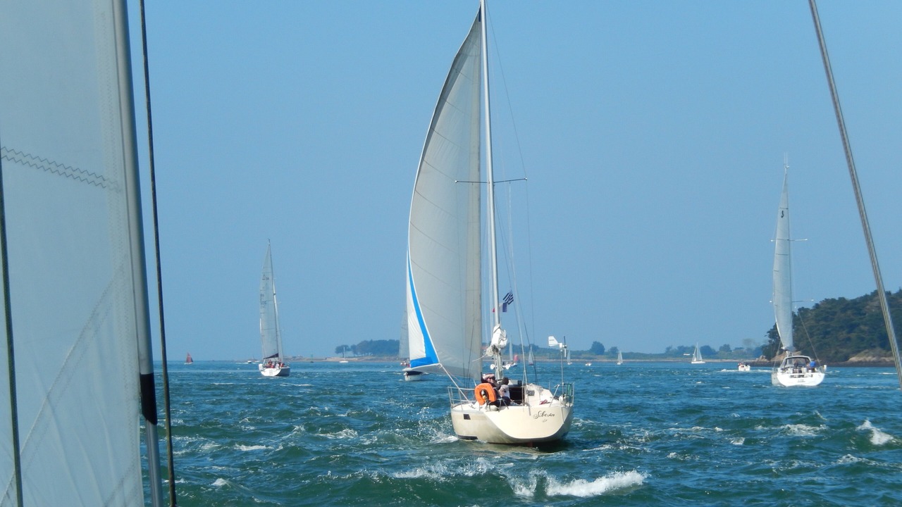 Photo of Others in Saint-Marc-sur-Mer