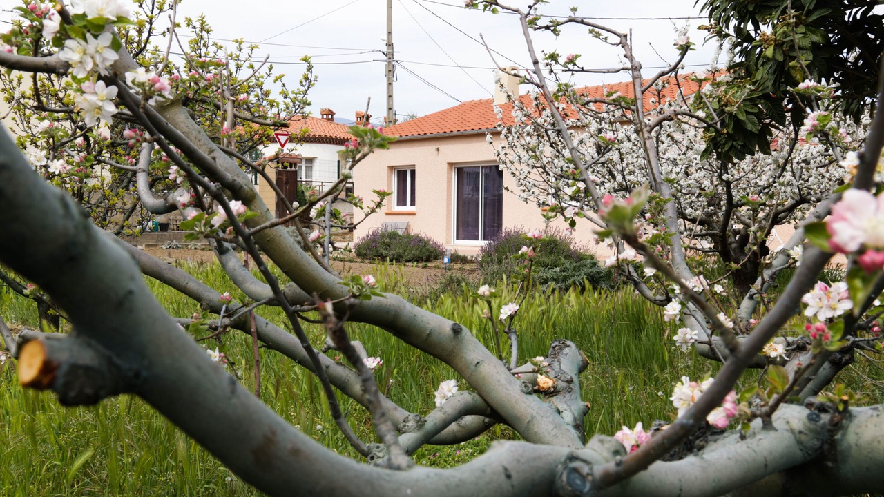 Photo of Outdoor in Prades