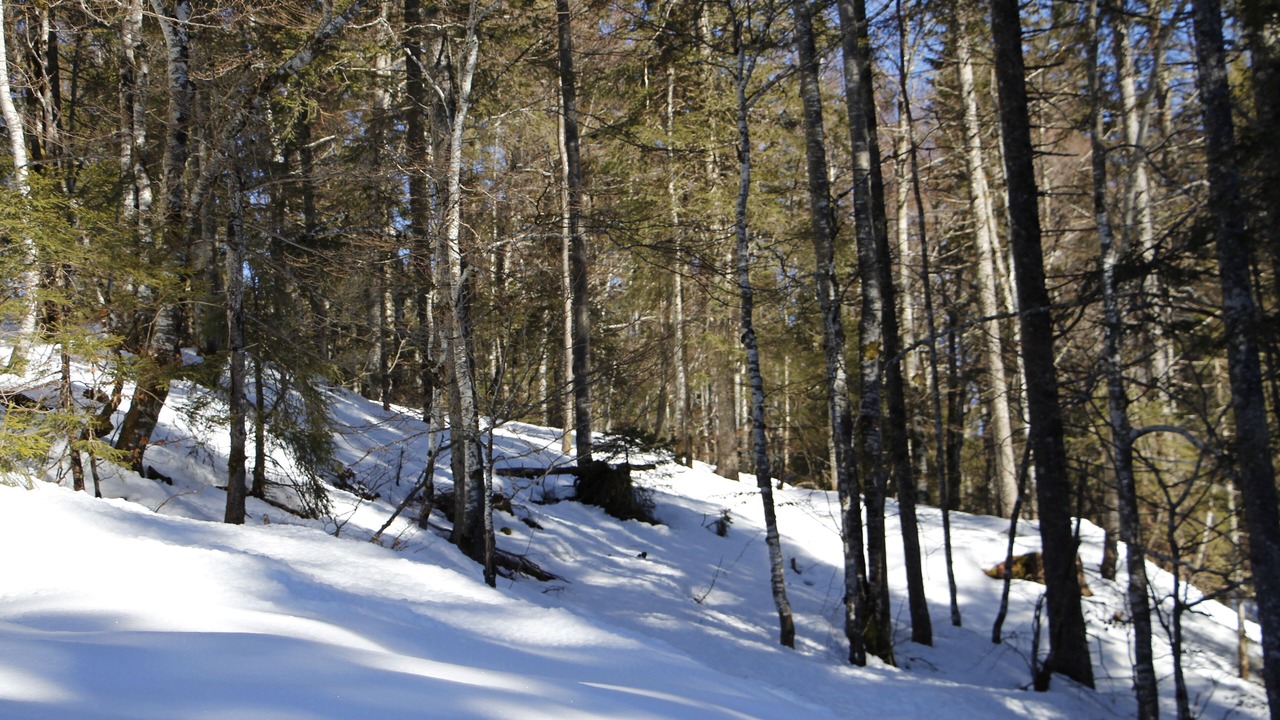 Photo of Others in Lamoura