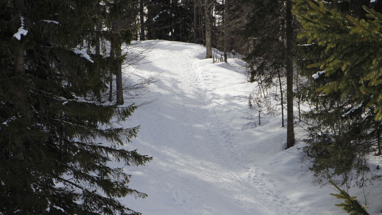 Photo of Others in Lamoura