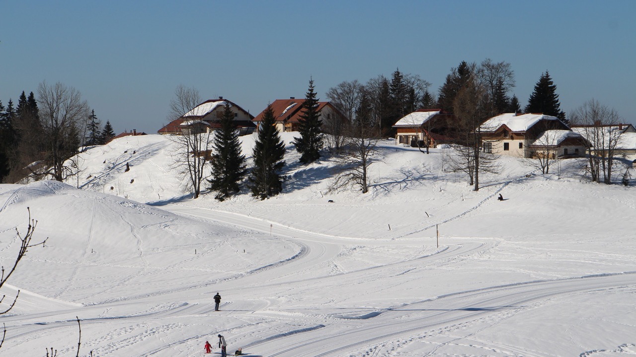 Photo of Others in Lamoura