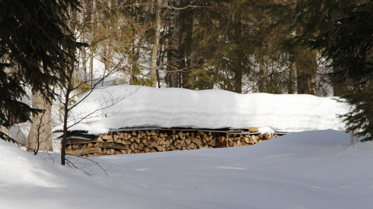 Photo of Outdoor in Lamoura