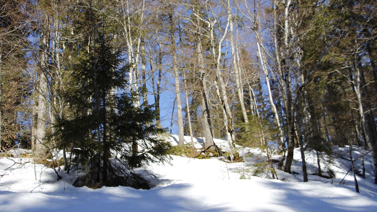 Photo of Others in Lamoura