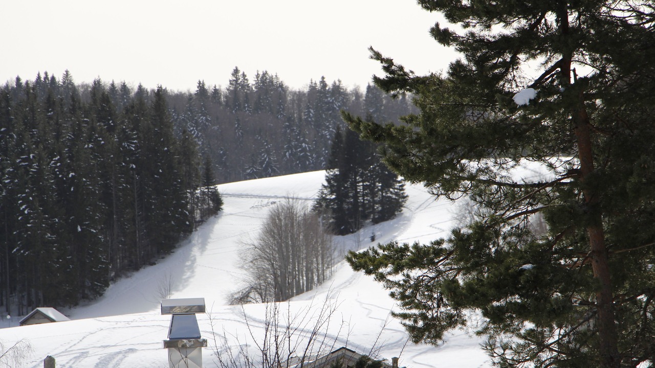 Photo of Others in Lamoura