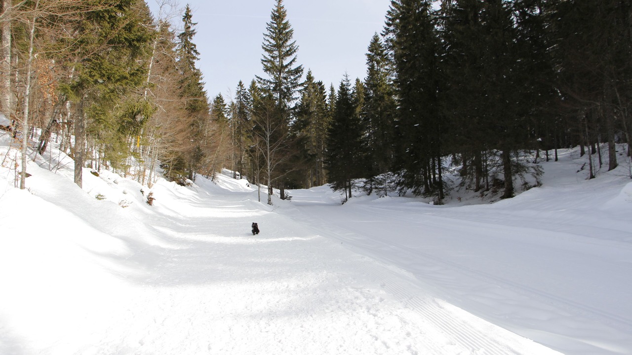 Photo of Others in Lamoura