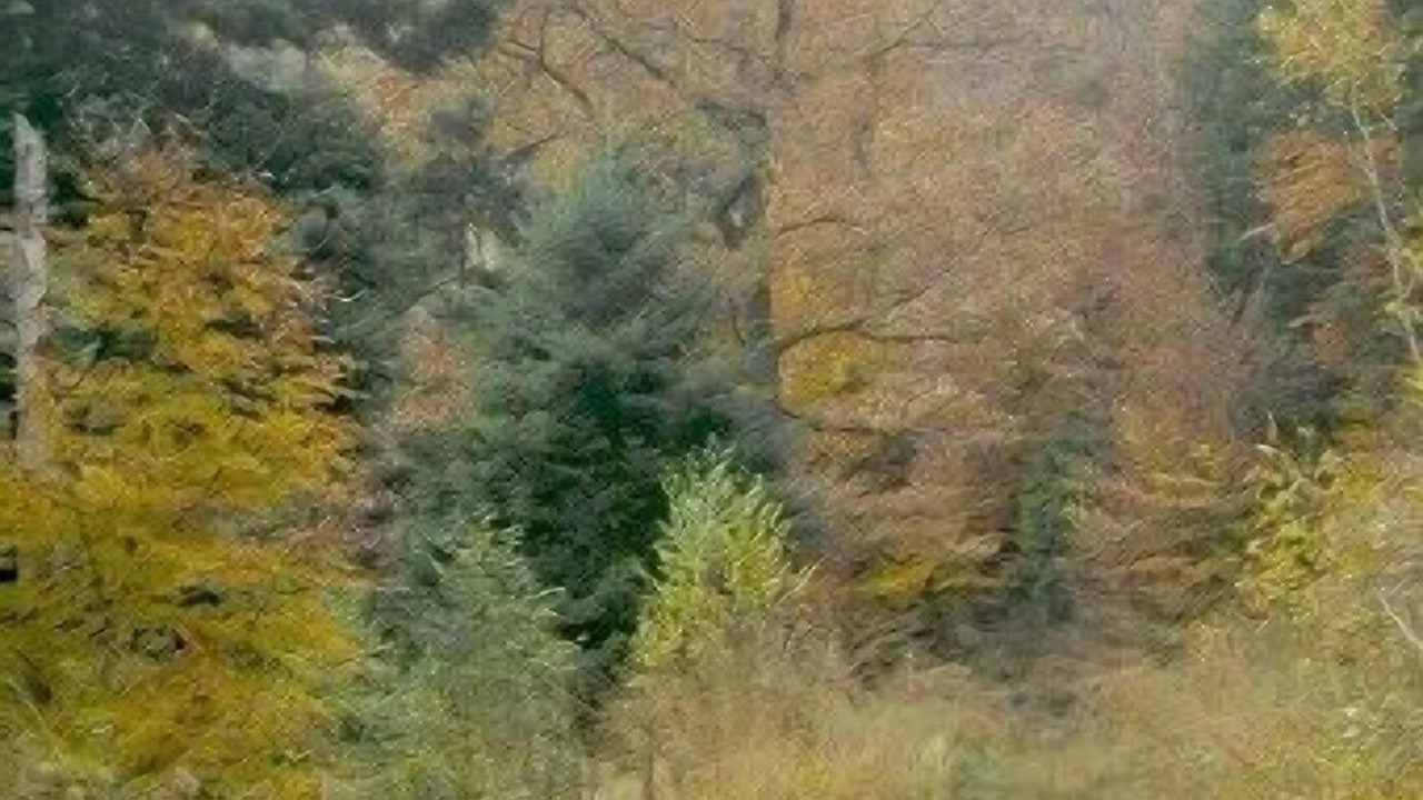 Photo of Outdoor in Raon-l'Etape