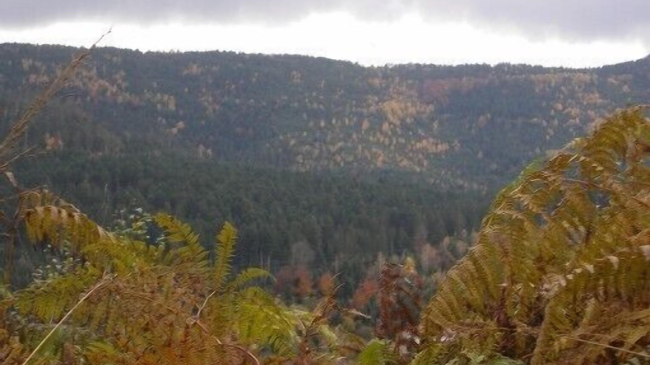 Photo of Outdoor in Raon-l'Etape