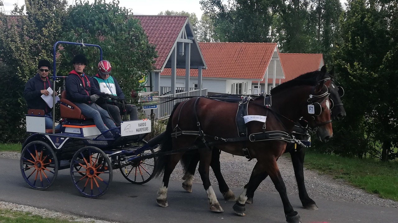 Photo of Outdoor in Nempont-Saint-Firmin