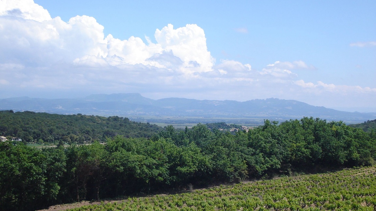 Photo of Outdoor in Rochegude