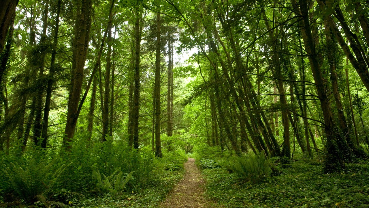 Photo of Outdoor in Irodouer
