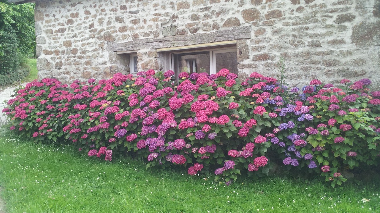 Photo of Outdoor in Champeon