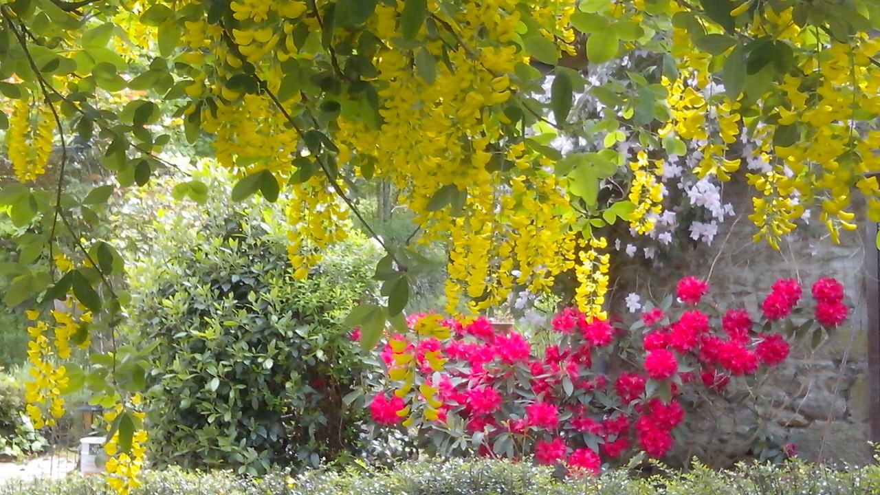 Photo of Outdoor in Champeon