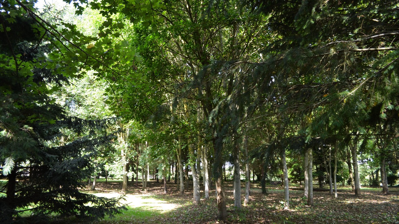 Photo of Others in Fresnay-sur-Sarthe