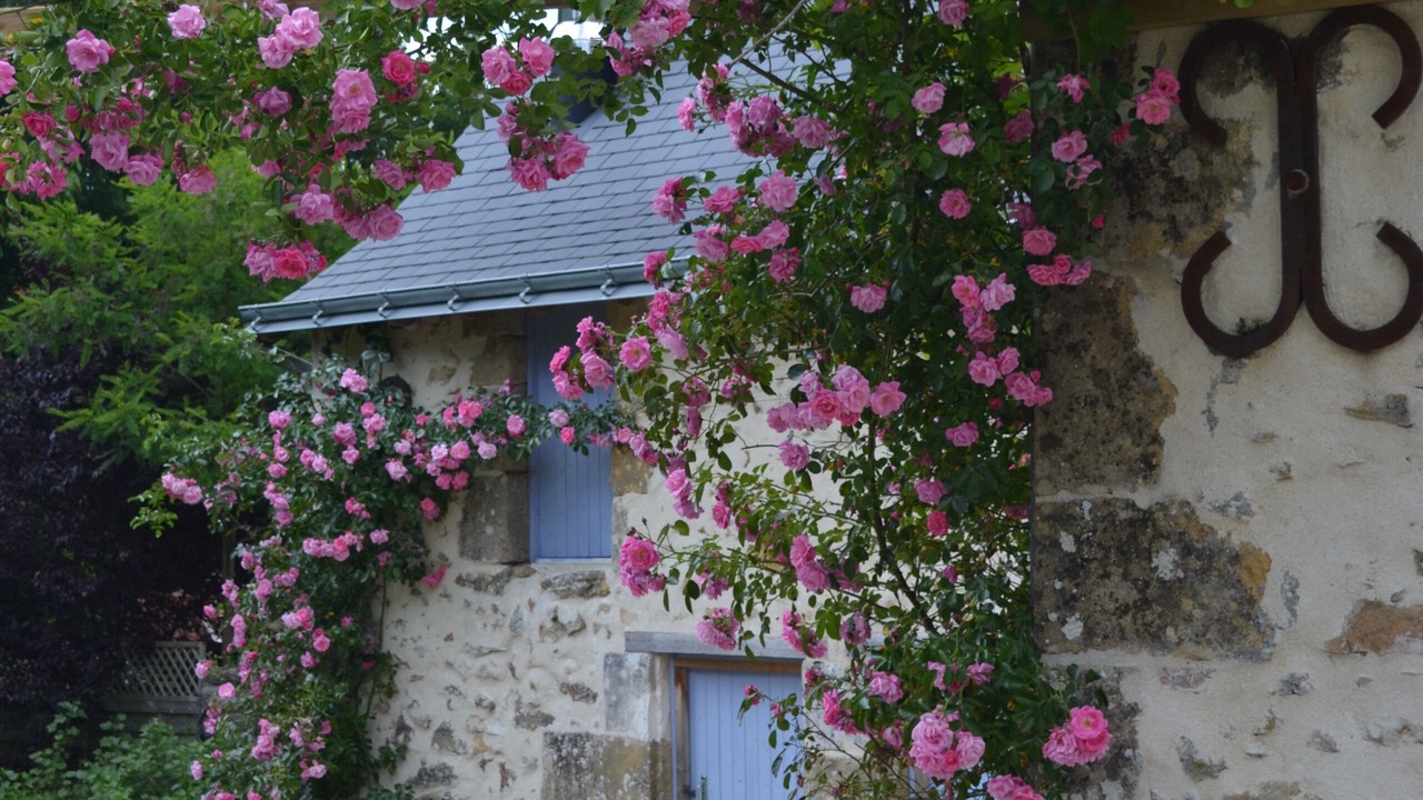 Photo of Outdoor in Cheille