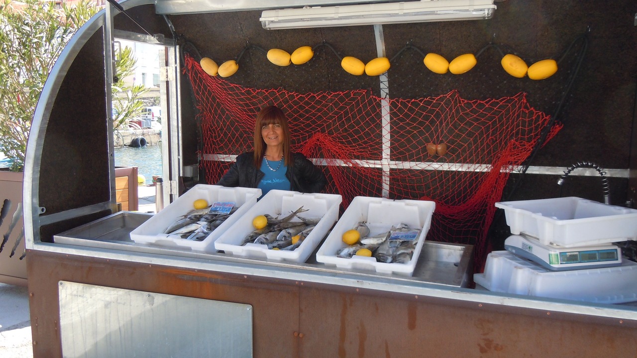 Photo of Others in Port-Vendres