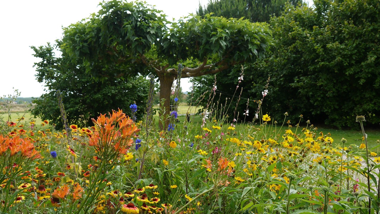 Photo of Outdoor in Pommevic