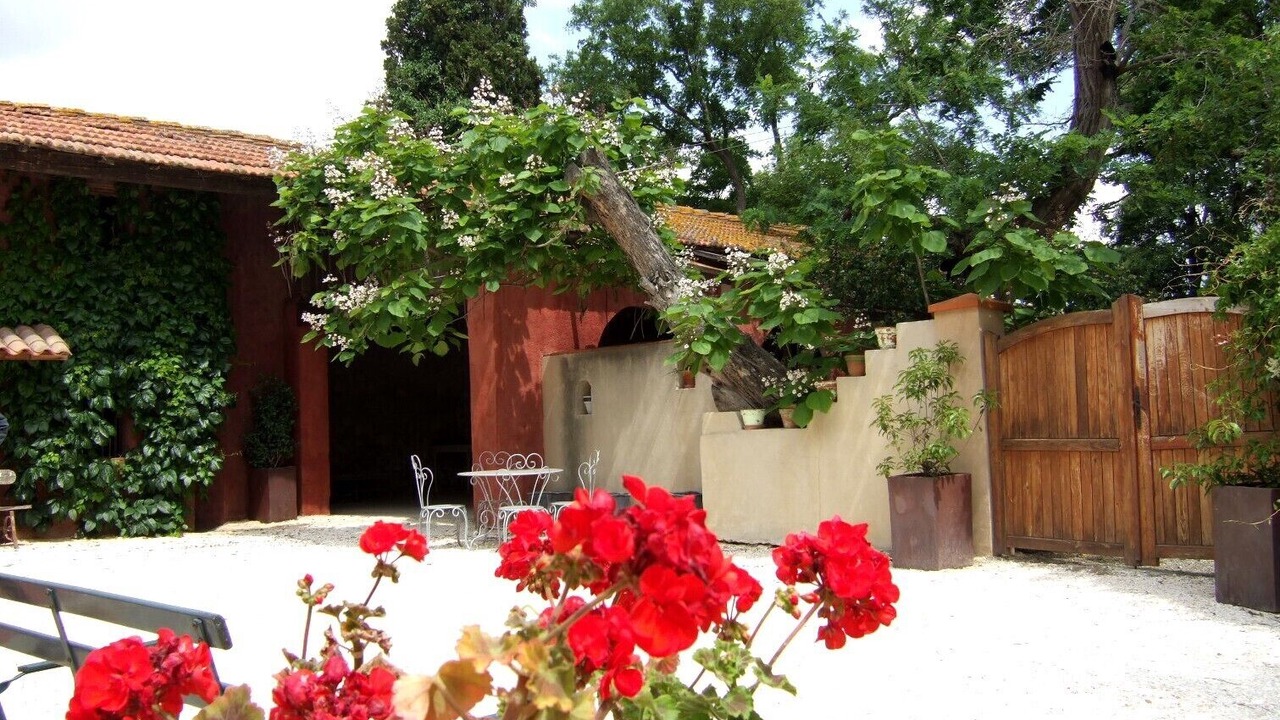 Photo of Outdoor in Canet