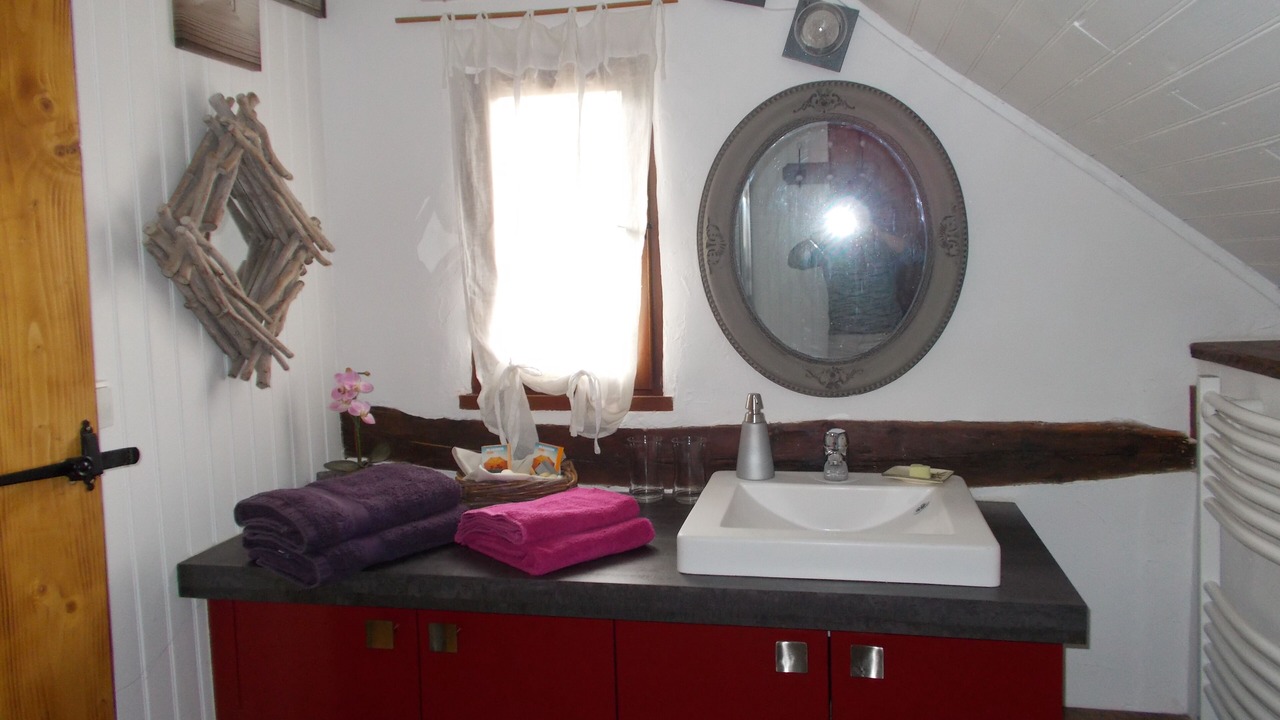 Photo of Bathroom in Arrien-en-Bethmale