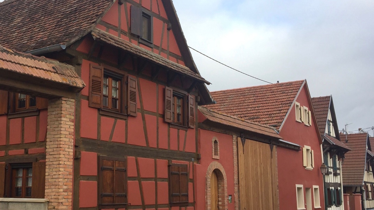 Photo of Outdoor in Willgottheim