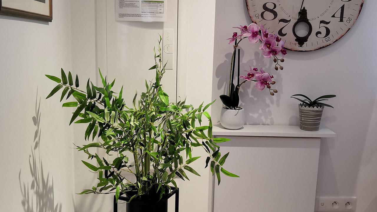 Photo of Others in Willgottheim