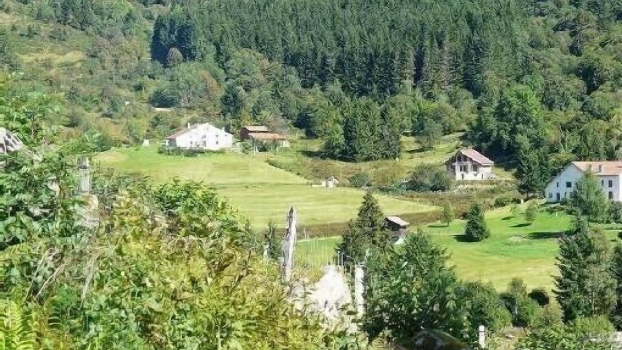 Photo of Others in La Bresse