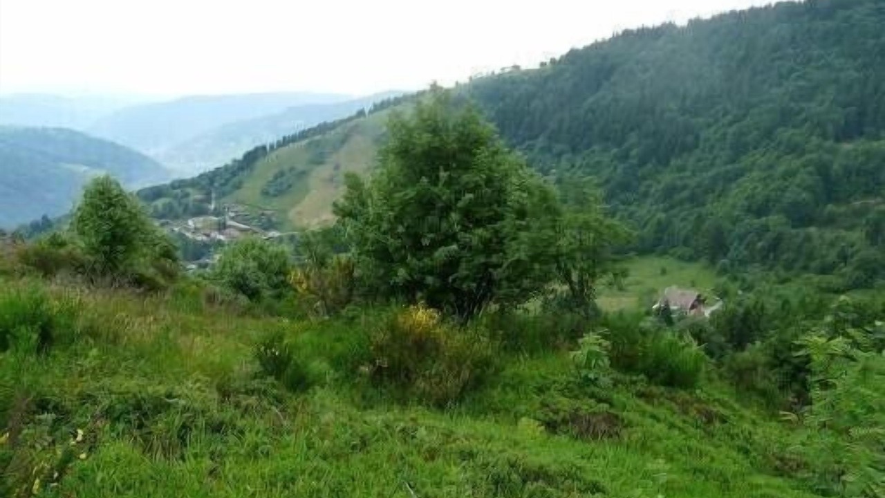 Photo of Outdoor in La Bresse