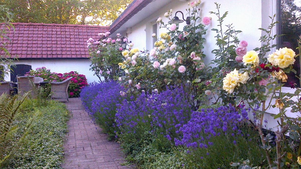 Photo of Outdoor in Monchaux