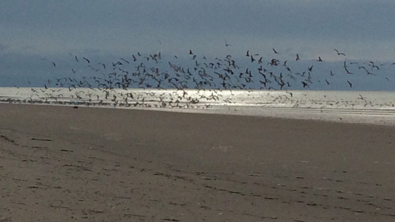 Photo of Others in Le Touquet-Paris-Plage
