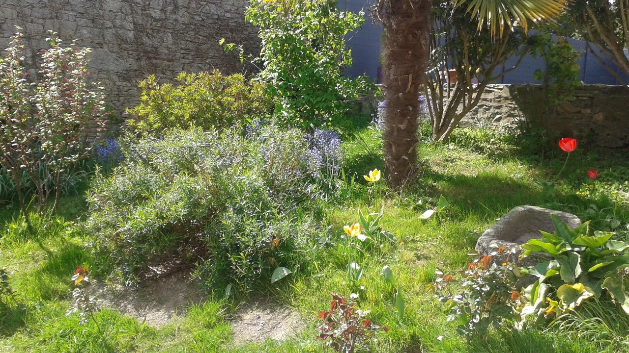 Photo of Outdoor in Saint-Cast-le-Guildo