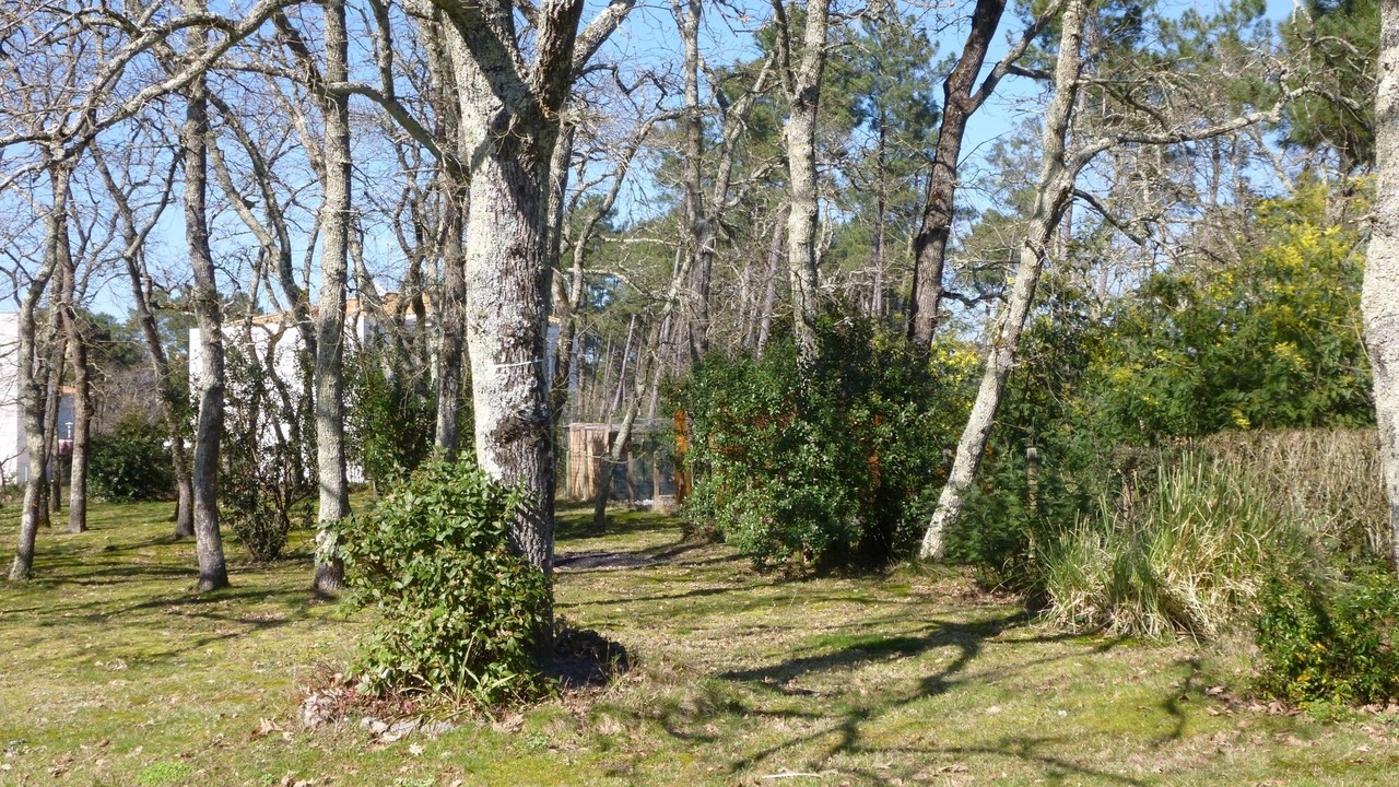 Photo of Outdoor in Audenge