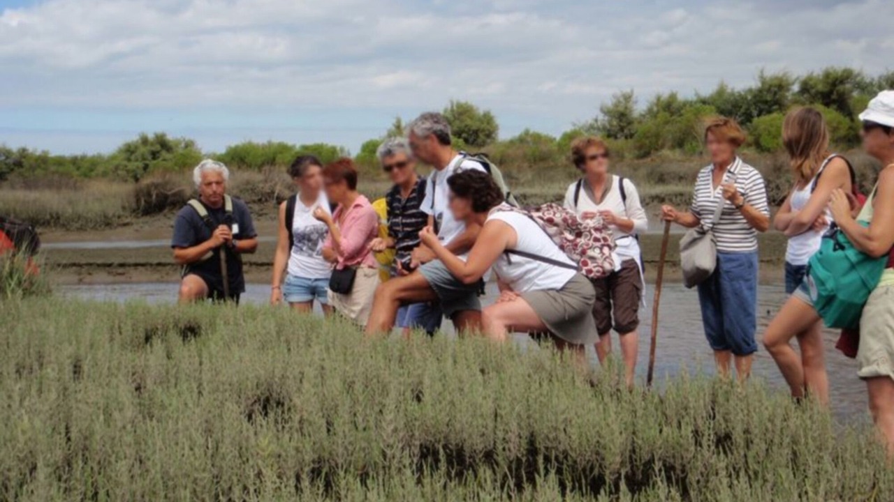 Photo of Others in Audenge