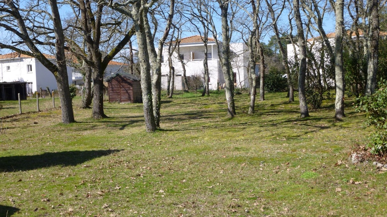 Photo of Outdoor in Audenge