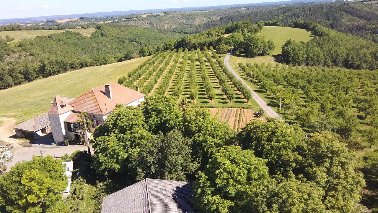 Photo of Outdoor in Thezac