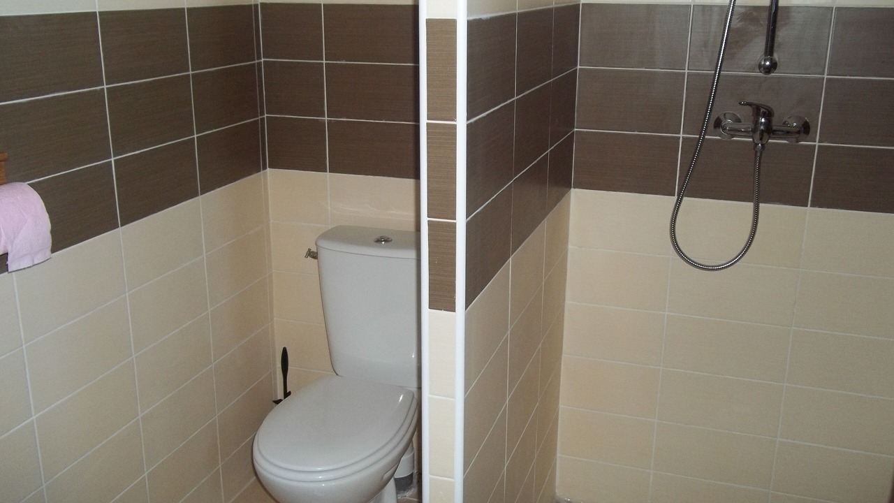 Photo of Bathroom in Thezac