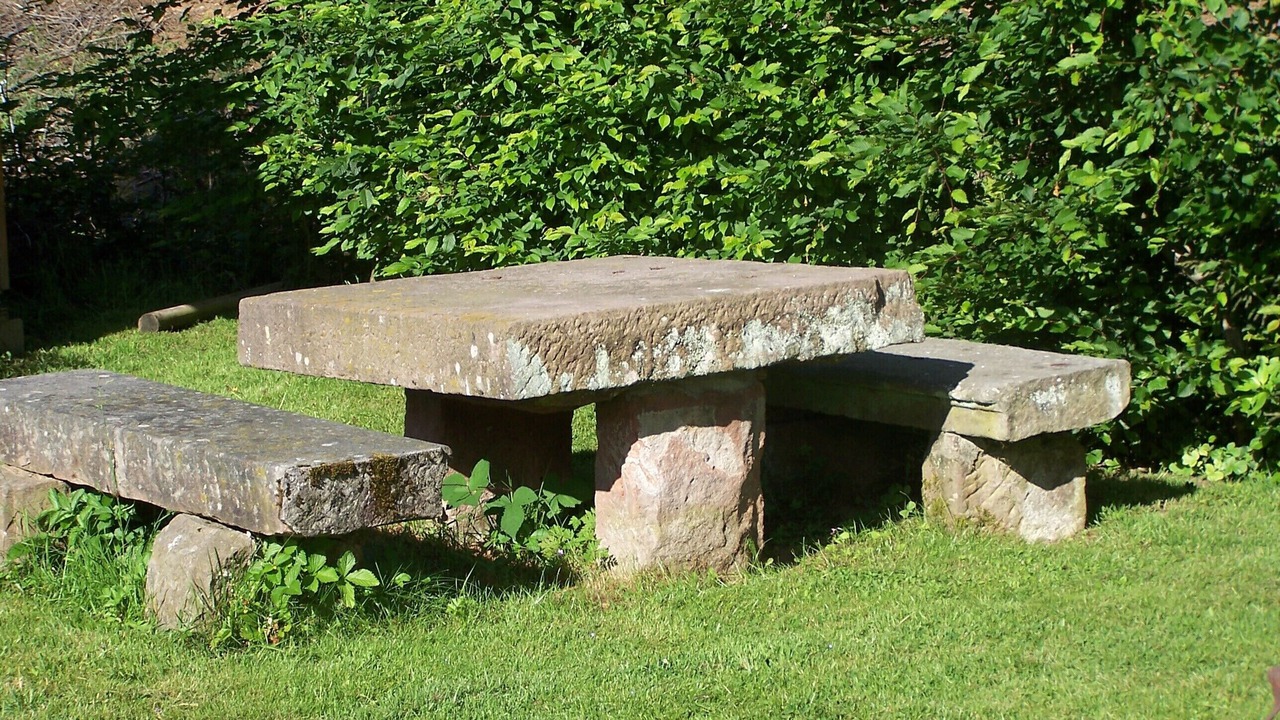 Photo of Outdoor in Ban-de-Laveline