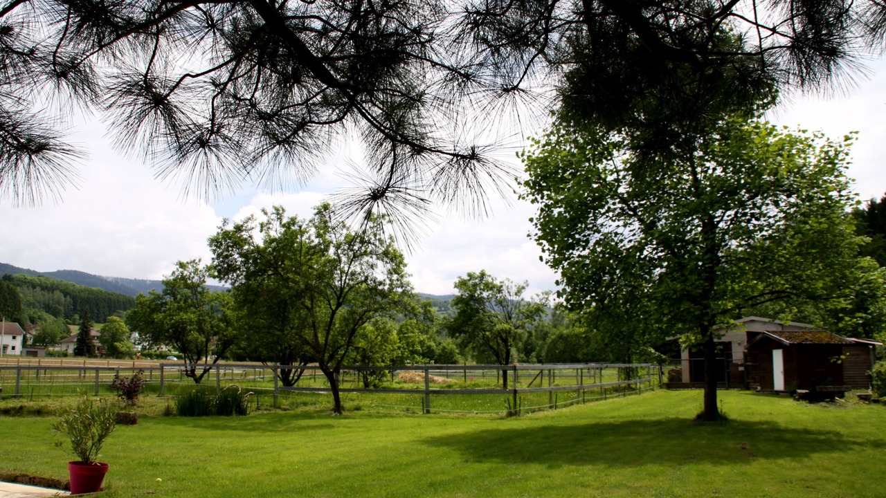 Photo of Outdoor in Ban-de-Laveline