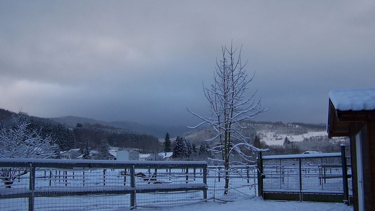 Photo of Outdoor in Ban-de-Laveline